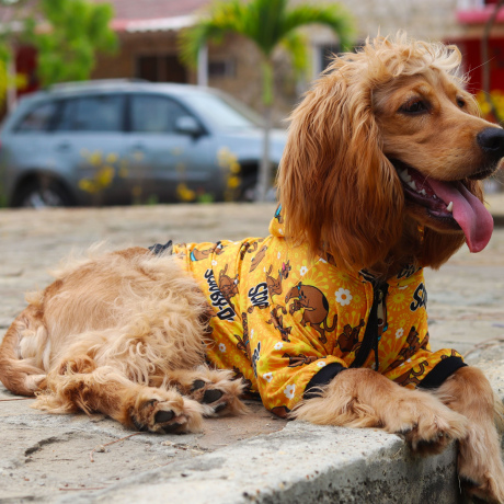 Hoodie Scooby Doo Amarillo