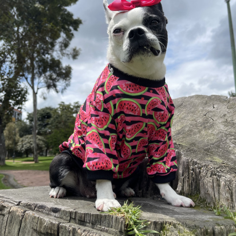 Camiseta Sandia Fucsia