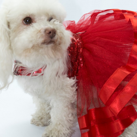 Vestido Lili Rojo 