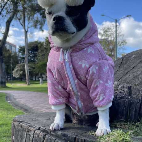 Hoodie AdiDog Rosado