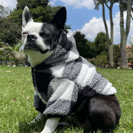 Hoodie Cariñoso Blanco Negro (Saco)