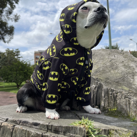 Hoodie Batman Negro