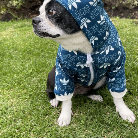 Hoodie AdiDog Azul