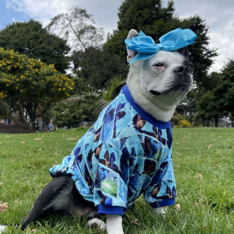 Camiseta Estampada Azul