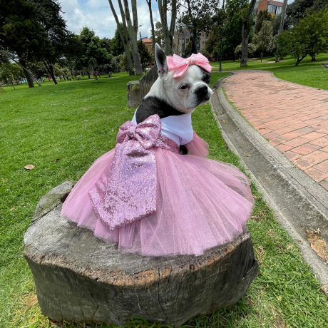 Vestido Mia Rosado