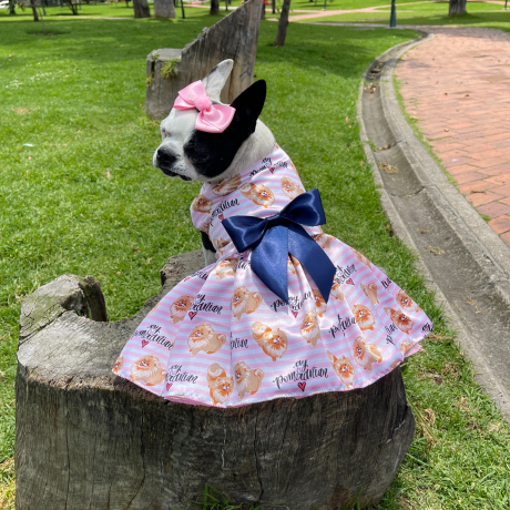 Vestido Pom Rosado